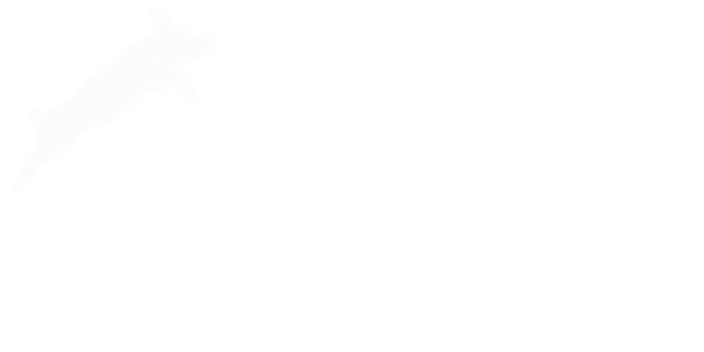 CSA Hof Pente – Solidarische Landwirtschaft